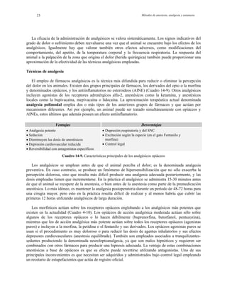 Métodos de anestesia, analgesia y eutanasia23
La eficacia de la administración de analgésicos se valora sistemáticamente. Los signos indicativos del
grado de dolor o sufrimiento deben reevaluarse una vez que el animal se encuentre bajo los efectos de los
analgésicos. Igualmente hay que valorar también otros efectos adversos, como modificaciones del
comportamiento, del apetito, de la temperatura corporal y la frecuencia respiratoria. La respuesta del
animal a la palpación de la zona que origina el dolor (herida quirúrgica) también puede proporcionar una
aproximación de la efectividad de las técnicas analgésicas empleadas.
Técnicas de analgesia
El empleo de fármacos analgésicos es la técnica más difundida para reducir o eliminar la percepción
del dolor en los animales. Existen dos grupos principales de fármacos, los derivados del opio o la morfina
y denominados opiáceos, y los antiinflamatorios no esteroideos (AINE) (Cuadro 14-9). Otros analgésicos
incluyen agonistas de los receptores adrenérgicos alfa-2, anestésicos como la ketamina, y anestésicos
locales como la bupivacaína, mepivacaína o lidocaína. La aproximación terapéutica actual denominada
analgesia polimodal emplea dos o más tipos de los anteriores grupos de fármacos y que actúan por
mecanismos diferentes. Así por ejemplo, un animal puede ser tratado simultáneamente con opiáceos y
AINEs, estos últimos que además poseen un efecto antiinflamatorio.
Ventajas Desventajas
• Analgesia potente
• Sedación
• Disminuyen las dosis de anestésicos
• Depresión cardiovascular reducida
• Reversibilidad con antagonistas específicos
• Depresión respiratoria y del SNC
• Excitación según la especie (en el gato Fentanilo y
morfina)
• Control legal
Cuadro 14-9. Características principales de los analgésicos opiáceos
Los analgésicos se emplean antes de que el animal perciba el dolor; es la denominada analgesia
preventiva. En caso contrario, se produce un fenómeno de hipersensibilización que no sólo exacerba la
percepción dolorosa, sino que resulta más difícil producir una analgesia adecuada posteriormente, y las
dosis empleadas tienen que incrementarse. En la práctica el analgésico se administra 15-30 minutos antes
de que el animal se recupere de la anestesia, o bien antes de la anestesia como parte de la premedicación
anestésica. Lo más idóneo, es mantener la analgesia postoperatoria durante un período de 48-72 horas para
una cirugía mayor, pero esto en la práctica resulta difícil de realizar y al menos habría que cubrir las
primeras 12 horas utilizando analgésicos de larga duración.
Los morfínicos actúan sobre los receptores opiáceos englobando a los analgésicos más potentes que
existen en la actualidad (Cuadro 4-10). Los opiáceos de acción analgésica moderada actúan sólo sobre
algunos de los receptores opiáceos o lo hacen débilmente (buprenorfina, butorfanol, pentazozina),
mientras que los de acción analgésica más potente actúan sobre todos los receptores opiáceos (agonistas
puros) e incluyen a la morfina, la petidina o el fentanilo y sus derivados. Los opiáceos agonistas puros se
usan si el procedimiento es muy doloroso o para reducir las dosis de agentes inhalatorios y sus efectos
depresores cardiovasculares (anestesia equilibrada). También son empleados asociados a tranquilizantes-
sedantes produciendo la denominada neuroleptoanalgesia, ya que son malos hipnóticos y requieren ser
combinados con otros fármacos para producir una hipnosis adecuada. La ventaja de estas combinaciones
anestésicas a base de opiáceos es que su efecto puede revertirse utilizando antagonistas. Uno de sus
principales inconvenientes es que necesitan ser adquiridos y administrados bajo control legal empleando
un recetario de estupefacientes que actúa de registro oficial.
 
