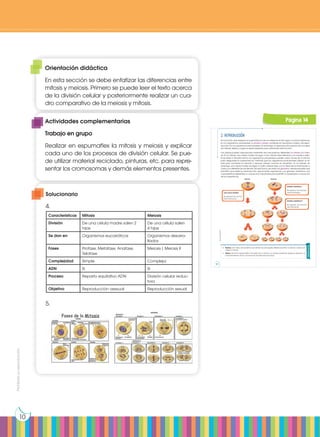 Prohibida
su
reproducción
10
2. Reproducción
Es la función que asegura la supervivencia de una especie al dar lugar a nuevos individuos.
En los organismos unicelulares, la división celular constituye el mecanismo básico de repro-
ducción. En los organismos pluricelulares, sin embargo, la reproducción precisa de una serie
de células, tejidos y órganos especializados para desarrollar esta función.
Las células pueden reproducirse mediante dos mecanismos diferentes, la mitosis y la meio-
sis. En la mitosis, una célula madre da lugar a dos células hijas idénticas a la madre e idén-
ticas entre sí. De esta forma, los organismos unicelulares pueden crear clones de sí mismos
para asegurarse la supervivencia, mientras que los organismos pluricelulares utilizan la mi-
tosis para aumentar su tamaño y renovar células cuando es necesario. En la meiosis, sin
embargo, una célula madre da lugar a cuatro células hijas con la mitad de la información y
cada una diferente de las demás. De esta forma, se crean los gametos, células sexuales que
permiten que exista la reproducción sexual entre organismos y se generen individuos con
características diferentes, lo cual es muy importante para permitir la adaptación y evolución
de los organismos.
División meiótica I
Se separan los cromoso-
mas homólogos.
División meiótica II
Se separan las cromáti-
das hermanas.
Una única división
Se separan las cromá-
tidas hermanas.
Mitosis Meiosis
http://goo.gl/2fPbLO
Actividades
4. Realiza una tabla comparativa que señale las principales diferencias entre la división celular por
mitosis y meiosis.
5. Dibuja de forma esquemática las fases de la mitosis y la meiosis prestando especial atención al
comportamiento de los cromosomas durante estos procesos.
14
Página 14
Orientación didáctica
En esta sección se debe enfatizar las diferencias entre
mitosis y meiosis. Primero se puede leer el texto acerca
de la división celular y posteriormente realizar un cua-
dro comparativo de la meiosis y mitosis.
Actividades complementarias
Trabajo en grupo
Realizar en espumaflex la mitosis y meiosis y explicar
cada uno de los procesos de división celular. Se pue-
de utilizar material reciclado, pinturas, etc. para repre-
sentar los cromosomas y demás elementos presentes.
Solucionario
4.
5.
Características Mitosis Meiosis
División De una célula madre salen 2
hijas
De una célula salen
4 hijas
Se dan en Organismos eucarióticos Organismos desarro-
llados
Fases Profase, Metafase, Anafase,
Telofase
Meiosis I, Meiosis II
Complejidad Simple Compleja
ADN Si Si
Proceso Reparto equitativo ADN División celular reduc-
tora
Objetivo Reproducción asexual Reproducción sexual
 