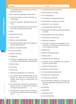 Prohibida
su
reproducción
12
Nombre: ________________________________________ Fecha: _________________________
Evaluación
Diagnóstica
1.	 La biología está relacionada con las si-
guientes ciencias:
a. física, química, geología, matemática
b. ciencias sociales, ciencias naturales, mi-
crobiología
c. ciencias naturales, geología, física, quí-
mica.
2.	 ¿Cuál de las siguientes no es una cracte-
rística de las células procariotas?
a. ADN
b. Membrana Celular
c. Pared celular
d. Retículo endoplasmático
3.	 Las plantas difieren de los animales por-
que las plantas tienen:
a. Retículo endoplasmático
b. Vacuola Central
c.Aparato de Golgi
d. Organelos
4.	El retículo endoplasmático rugosos tiene
su nombre porque este tiene abundantes:
a. Mitocondrias
b. Lisosomas
c. Ribosomas
5.	 Responda Verdadero (V) o Falso (F)
a. Las células de las plantas tienen cloro-
plastos en lugar de mitocondrias, los
cuales sirven para la producción de
energía ( 		 )
b. Los organismos capaces de elaborar su
propia comida se denominan organis-
mos descomponedores (	 )
c. Un organismo consumidor es un organis-
mo que no necesita comida para sobre-
vivir (	 )
6.	 Los ribosomas se encuentran:
a. Solamente en el núcleo
b. En el citoplasma
c. En el retículo endoplasmático liso
d. Solamente en células eucariotas
e. Literal B y C son correctos
7.	 El aparato de Golgi permite:
a. Transporte de proteínas liberadas desde
la célula
b. Empaquetamiento de proteínas
c. Producción de lisosomas
d. Todas las anteriores
8.	Cuál de los siguientes organelos se en-
cuentran en células de las plantas pero
no en células animales.
a. Ribosomas
b. Retículo Endoplasmático
c. Mitocondrias
d. Ninguna de las anteriores
9.	¿Cuáles de los siguientes dos organis-
mos son productores?
a. Plantas y fitoplancton
b. Plantas y consumidores
c. Consumidores y fitoplancton
d. Fitoplancton y Herbívoros
e. Fitoplancton y Clorofila
10.	
Los heterótrofos obtienen su energía de
todos los siguientes organismos a excep-
ción de:
a. Autótrofos
b. Herbívoros
c. Radiación Solar
d. Otros heterótrofos
 