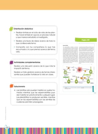 Prohibida
su
reproducción
144
Espermatófitas
Las espermatófitas (también conocidas
como fanerógamas) son plantas vasculares
que generan semillas; es decir, la mayoría
de las plantas que conocemos comúnmen-
te. La semilla es un gran avance evolutivo en
las plantas, puesto que estas pueden pro-
pagarse a espacios lejanos y permite a la
planta colonizar nuevos hábitats. Además,
las semillas permiten que el germen de una
planta soporte condiciones inadecuadas
durante un largo período hasta que llegue
el momento idóneo para germinar y crecer
como nuevo individuo. Esto ocurre debido a
que tienen cubiertas muy resistentes y en el
interior almacenan nutrientes que otorgan
energía al embrión de la planta hasta que
puede nutrirse por sí misma.
Las plantas espermatófitas se dividen en dos
grandes grupos: gimnospermas y angiosper-
mas. Las gimnospermas son aquellas que
tienen la semilla desnuda mientras que las
angiospermas tienen la semilla protegida.
Las espermatófitas poseen flores que actúan
como sistema reproductor de la planta. En
ellas se originan gametos que pueden ser
óvulos (gameto femenino) o polen (gameto
masculino). El polen de una flor masculina
puede propagarse y llegar hasta una flor
femenina en la cual fecundará al óvulo en
un proceso conocido como polinización. De
esta forma, se genera una semilla que pue-
de permanecer mucho tiempo en latencia
hasta que germina y da lugar a una nueva
planta.
Actividades
4. Investiga sobre el ciclo de vida de briófitos y pteridófitos y compáralos con el ciclo de vida de una
planta espermatófita.
http://goo.gl/IRwB6V
Prohibida
su
reproducción
128 129
Página 129
Solucionario
4.	 Las briófitas solo pueden habitar en suelos hú-
medos mientras que las espermatófitas pue-
den habitar en prácticamente cualquier lugar.
Las pteridófitas no producen semillas, mientras
que en las espermatófitas son las semillas las
cuales les permiten propagarse.
Orientación didáctica
•	 Realizar énfasis en el ciclo de vida de las plan-
tas, hacer énfasis en que es un proceso natural
y que merece estudiarlo e investigarlo.
•	 Realiza una lluvia de ideas acerca de todo lo
que conlleva este tema.
•	Comparte con tus compañeros lo que has
escuchado o lo que piensa acerca del tema
visto.
Actividades complementarias
Realiza una discusión acerca de lo que más te
impactó del tema.
Realiza un folio giratorio acerca de temas intere-
santes que pueden fortalecer lo visto en clase.
 
