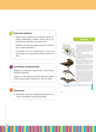 Prohibida
su
reproducción
148
El sistema digestivo de las aves es único, ya que
cuentan con un buche donde acumulan el alimen-
to temporalmente mientras se ablanda, para facili-
tar la digestión. Además, cuentan con otra estruc-
tura denominada molleja que sirve para triturar el
alimento. En algunas ocasiones, las aves pueden
ingerir arena o piedras que acumulan en la molleja
para ayudar a la trituración del alimento.
2.13. Mamíferos
Los mamíferos son un grupo de vertebrados endo-
termos que se caracterizan por la presencia de pelo
y poseer glándulas mamarias con las que alimen-
tan a sus crías. Todos son vivíparos con la excepción
del ornitorrinco y el equidna.
Existe una gran diversidad de mamíferos que han
llegado a colonizar todos los ambientes. La mayoría
son terrestres, pero existen mamíferos que viven en
hábitats acuáticos, como las ballenas y los delfines,
y otros voladores, como los murciélagos.
El sistema circulatorio y respiratorio de los mamíferos
es similar al de las aves, con dos pulmones en los
que se realiza el intercambio de gases, y un circuito
doble en el que la sangre va hacia los pulmones
para oxigenarse y después al resto del cuerpo.
En cuanto a la reproducción, salvo los casos espe-
cíficos del ornitorrinco y el equidna que son ovípa-
ros, todos los mamíferos son vivíparos y poseen fe-
cundación interna. Como característica propia de
los mamíferos, alrededor del embrión se origina la
placenta que permite el intercambio de sustancias
entre el embrión y la madre. Sin embargo, existe
un grupo de mamíferos vivíparos conocidos como
marsupiales en los que apenas hay desarrollo pla-
centario y el embrión nace poco desarrollado, por
lo que su desarrollo debe completarse en el marsu-
pio. Este es el caso de mamíferos como el canguro o
el koala.
Actividades
8. Investiga y escribe el nombre científico de tres aves y tres mamíferos que pertenezcan a distintos
órdenes.
http://goo.gl/Y1g1Ds
http://goo.gl/g
y
s
T
v
P
http://goo.gl/FYjb5c
http://g
oo.g
l/w
XnHAV
Prohibida
su
reproducción
140
Página 140
Orientación didáctica
•	 Relacionar la ciencia con el estudio de los ani-
males vertebrados, orientar acerca de la im-
portancia de estudiar a los seres vivos.
•	 Realiza una lluvia de ideas acerca de todo lo
que conlleva este tema.
•	Comparte con tus compañeros lo que has
escuchado o lo que piensa acerca del tema
visto.
Actividades complementarias
Realiza una discusión acerca de lo que más te
impactó del tema.
Realiza un folio giratorio acerca de temas intere-
santes que pueden fortalecer lo visto en clase.
Solucionario
8.	 Serpentes, macropus, delphinidae, struthio ca-
melus, trochilidae y aquila chrysaetos.
 