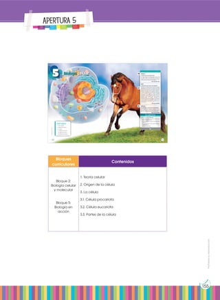 Prohibida
su
reproducción
155
Apertura 5
Bloques
curriculares
Contenidos
Bloque 2:
Biología celular
y molecular
Bloque 5:
Biología en
acción
1. Teoría celular
2. Origen de la célula
3. La célula
3.1. Célula procariota
3.2. Célula eucariota
3.3. Partes de la célula
Noticia:
La célula de la que venimos todos
Un nuevo grupo de arqueas que viven a más
de 3000 metros de profundidad aclaran el
origen de humanos, animales, plantas y hongos.
Venimos de una célula con dos látigos.
http://goo.gl/T1nXP1
Web:
Película:
Lee la noticia anterior y responde:
• ¿Por qué se piensa que todos los seres vivos
tienen un origen común?
• ¿En qué categoría se agrupan los nuevos orga-
nismos?
• ¿En qué se parecen estas nuevas bacterias a
nuestras células?
• ¿Qué es la fagocitosis?
La genómica da la razón a Lynn Margulis
El núcleo de nuestras células adquirió sus genes
bacterianos por simbiosis. La historia de la vida
en la Tierra se divide en dos mitades: hasta 2000
millones de años atrás, solo hubo bacterias y
arqueas (similares a las bacterias, aunque a
menudo adaptadas a condiciones extremas);
y solo entonces surgió la célula compleja
(eucariota, en la jerga) de la que todos los
animales y plantas estamos hechos. Fue Lynn
Margulis quien explicó esa discontinuidad
desconcertante: la célula compleja no
evolucionó gradualmente desde una bacteria
o una arquea, sino sumando ambas en un
suceso brusco de simbiosis. La genómica le da
hoy la razón.
http://goo.gl/BBkR0f
Lynn Margulis y la teoría de la endosimbiosis
La bióloga Lynn Margulis, ganadora de la
Medalla Nacional de Ciencias, habla sobre la
teoría de la endosimbiosis y la hipótesis Gaia.
https://goo.gl/l4nMI4
En contexto:
http://goo.gl/nevWML
149
CONTENIDOS:
1. Teoría celular
2. Origen de la célula
3. La célula
3.1.Célula procariota
3.2.Célula eucariota
3.3.Partes de la célula
5 Biología celular
Prohibida
su
reproducción
148
 