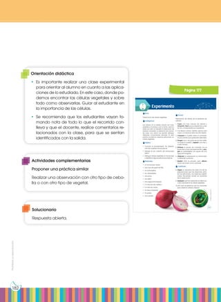Prohibida
su
reproducción
182
Proceso:
Preparación de células de la epidermis de
cebolla:
1. Cojan una hoja carnosa de cebolla y
rómpanla. Vean que se desprende un teji-
do fino y transparente; es la epidermis.
2. Con tijeras y pinzas, intenten separar esta
capa y no arrancar restos de otros tejidos.
3. Coloquen la muestra sobre un portaobje-
tos procurando que quede bien extendida.
4. Pongan una o dos gotas de azul de metile-
no sobre la muestra y esperen unos tres o
cuatro minutos.
5. Eliminen el exceso de colorante con el
borde de un trozo de papel de filtro y pon-
gan el cubreobjetos con ayuda de una
aguja enmangada.
6. Observen la preparación al microscopio
a diferentes aumentos.
7. Repitan todo el proceso, pero utilicen
ahora rojo neutro como colorante.
Cuestiones:
8. Hagan un esquema de cada una de las
preparaciones que has observado, seña-
len las estructuras y los orgánulos identifi-
cados. Recuerden anotar los aumentos
de la observación.
9. Expliquen qué han observado al utilizar uno
y otro colorante en las células vegetales.
10.¿Por qué necesitamos usar los colorantes
para observar células y tejidos?
Experimento
Tema:
Observación de células vegetales
Investigamos:
Las células, en su estado natural, son trans-
parentes e incoloras y, por lo tanto, casi invi-
sibles; por esto, se requiere la aplicación de
diversos colorantes. La utilización de coloran-
tes sobre una célula nos permite distinguir
diferentes componentes celulares. En esta
práctica podremos observar estructuras ce-
lulares vegetales.
Objetivo:
• Conocer el procedimiento de prepara-
ción de muestras microscópicas.
• Trabajar el uso correcto del microscopio
óptico.
• Distinguir células vegetales al microscopio
e identificar algunas estructuras básicas.
Materiales:
• Un microscopio óptico
• Una hoja de papel de filtro
• Un portaobjetos
• Un cubreobjetos
• Una pinza
• Una tijera
• Una aguja enmangada
• 2 ml de azul de metileno
• 2 ml de rojo neutro
• Un frasco limpiador
• Un gotero
• Una cebolla
http://go
o
.
g
l
/
C
w
f
u
c
l
http://goo.gl/HUYT2o
Prohibida
su
reproducción
176 177
Página 177
Orientación didáctica
•	Es importante realizar una clase experimental
para orientar al alumno en cuanto a las aplica-
ciones de lo estudiado. En este caso, donde po-
demos encontrar las células vegetales y sobre
todo como observarlas. Guiar al estudiante en
la importancia de las células.
•	Se recomienda que los estudiantes vayan to-
mando nota de todo lo que el recorrido con-
lleva y que el docente, realice comentarios re-
lacionados con la clase, para que se sientan
identificados con la salida.
Actividades complementarias
Proponer una práctica similar
Realizar una observación con otro tipo de cebo-
lla o con otro tipo de vegetal.
Solucionario
Respuesta abierta.
 