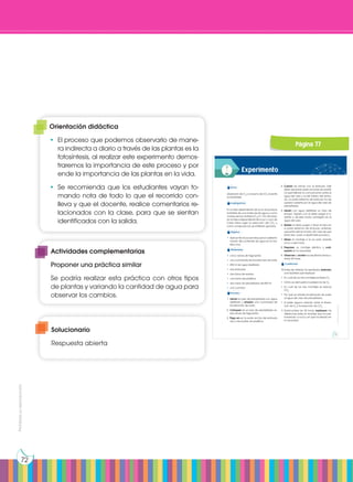 Prohibida
su
reproducción
72
4. Cubran las ramas con el embudo. Este
debe apoyarse sobre las bolas de plastili-
na permitiendo la comunicación entre el
agua del vaso y la del interior del embu-
do. La parte estrecha del embudo ha de
quedar cubierta por el agua del vaso de
precipitados.
5. Llenen con agua destilada un tubo de
ensayo. Taparlo con el dedo pulgar e in-
vertirlo y, de este modo, sumergirlo en el
agua del vaso.
6. Quiten el dedo pulgar y situar el tubo en
la parte estrecha del embudo, evitando
que entre aire en el tubo. (En caso de que
entre aire, volver a repetir este proceso.)
7. Sitúen el montaje a la luz solar durante
cinco o seis horas.
8. Preparen un montaje idéntico y coló-
quenlo en la oscuridad.
9. Observen y anoten los resultados transcu-
rridas 24 horas.
Cuestiones:
10.Antes de obtener los resultados, elaboren
una hipótesis que explique:
• En cuál de los dos montajes se libera O2
.
• Cómo se demuestra la presencia de O2
.
• En cuál de los dos montajes se reduce
CO2
.
• Por qué se añade bicarbonato de sodio
al agua del vaso de precipitados.
• Si existe alguna relación entre la libera-
ción de O2
y la reducción de CO2
.
11.Transcurridas las 24 horas, expliquen las
diferencias entre el montaje que ha per-
manecido a la luz y el que ha estado en
la oscuridad.
Experimento
Tema:
Liberación de O2
y consumo de CO2
durante
la fotosíntesis
Investigamos:
En la fase dependiente de la luz se produce
la fotólisis de una molécula de agua y, como
consecuencia, se libera O2
y H+
. Por otro lado,
en la fase independiente de la luz o ciclo de
Calvin tiene lugar la reducción del CO2
y,
como consecuencia, se sintetizan glúcidos.
Objetivo:
• Aplicar técnicas sencillas para la determi-
nación del contenido de agua en la ma-
teria viva.
Materiales:
• cinco ramas de Hygrophila
• una cucharada de bicarbonato de sodio
• 250 ml de agua destilada
• dos embudos
• dos tubos de ensayo
• una barra de plastilina
• dos vasos de precipitados de 600 ml
• una cuchara
Proceso:
1. Llenen el vaso de precipitados con agua
destilada y añadan una cucharada de
bicarbonato de sodio.
2. Coloquen en el vaso de precipitados va-
rias ramas de Hygrophila.
3. Pegu en en la parte ancha del embudo
dos o tres bolitas de plastilina.
Prohibida
su
reproducción
76 77
Página 77
Solucionario
Respuesta abierta
Orientación didáctica
•	 El proceso que podemos observarlo de mane-
ra indirecta a diario a través de las plantas es la
fotosíntesis, al realizar este experimento demos-
traremos la importancia de este proceso y por
ende la importancia de las plantas en la vida.
•	Se recomienda que los estudiantes vayan to-
mando nota de todo lo que el recorrido con-
lleva y que el docente, realice comentarios re-
lacionados con la clase, para que se sientan
identificados con la salida.
Actividades complementarias
Proponer una práctica similar
Se podría realizar esta práctica con otros tipos
de plantas y variando la cantidad de agua para
observar los cambios.
 
