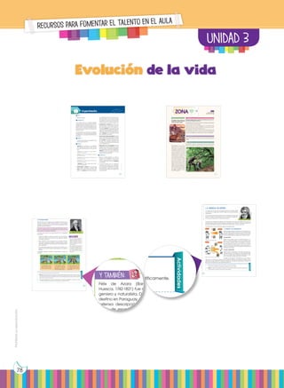 Prohibida
su
reproducción
78
UNIDAD 3
Recursos para fomentar el talento en el aula
1. El origen de las especies
A lo largo de la historia de la biología, siempre ha habido científi-
cos que se han preguntado sobre el origen de la gran diversidad
de especies.
En la antigua Grecia, pensadores como Anaximandro ya se plan-
teaban el origen de las especies. Pero fue durante los siglos XIX y
XX cuando se elaboraron más teorías al respecto.
Muchas veces estas teorías estaban más influidas por las creencias religiosas de la época
que basadas en observaciones científicas exhaustivas. Ello conllevó numerosos problemas e
incluso el descrédito de algunos científicos en desacuerdo con esas creencias.
A continuación, vamos a conocer algunas de estas teorías.
1.1. El fijismo y el catastrofismo
Ambas teorías estaban basadas en la interpretación li-
teral de la Biblia. Decimos que son teorías creacionistas,
porque consideraban que todos los seres vivos que exis-
tían en la Tierra tenían su origen en la Creación divina.
La teoría fijista
Según la teoría fijista, todas las especies tienen su ori-
gen en la Creación bíblica y se han mantenido tal y
como fueron creadas hasta la actualidad. La teoría fi-
jista fue aceptada durante muchos años como válida.
La teoría fijista no podía explicar, entre otras cosas, la
existencia de fósiles de muchas especies diferentes a
las especies actuales.
La teoría catastrofista
Según la teoría catastrofista, hubo extinciones de algu-
nas especies que coincidieron con las catástrofes des-
critas en la Biblia. Estas catástrofes explicarían la exis-
tencia de fósiles de especies que ya no existen.
Georges Cuvier (Francia, 1769-1832), uno de los natura-
listas más conocidos de su época, fue el principal defensor de esta teoría. Según Cuvier,
después de cada catástrofe, el espacio dejado por las especies extintas era ocupado por
especies procedentes de otros lugares geográficos.
Georges Cuvier (1769 - 1832)
http://goo.gl/9jQCSj
Creación
Creación
Actualidad
Actualidad
Esquema de la teoría fijista
Catástrofe
bíblica
Catástrofe
bíblica
Esquema de la teoría catastrofista
Actividades
1. ¿Qué diferencias existen entre la teoría fijista y la teoría catastrofista?
— ¿Cuál de las dos justifica la existencia de fósiles? ¿Cómo la justifica?
2. Explica por qué en la actualidad ni el fijismo ni el catastrofismo están aceptados científicamente.
— ¿Qué pruebas aportarías para rebatir ambas teorías?
Prohibida
su
reproducción
84
ZONA
Un lagarto fósil hallado en
Brasil da un vuelco a la evo-
lución de estos reptiles
Estudios niegan que la carne fuese relevante para la evo-
lución de la especie humana
Paleontólogos de la Universi-
dad de Alberta (Canadá) han
descubierto una nueva espe-
cie de lagarto, bautizada como
Gueragama sulamericana, en el
municipio de Cruzeiro do Oeste
en el sur de Brasil, en los aflora-
mientos rocosos de un desierto
cretácico tardío de hace apro-
ximadamente 80 millones de
años. El estudio se publica en la
revista Nature Communications.
Esta nueva especie de lagarto
es la primera del grupo cono-
cido como acrodonta (cuyos
dientes se fusionan en la parte
superior de sus mandíbulas) ha-
llada en América del Sur, lo que
sugiere que los dos grupos de
lagartos antiguos existentes del
Viejo y Nuevo Mundo se distribu-
yeron por todo el planeta antes
de la ruptura definitiva de Pan-
gea. Mira el siguiente enlace:
http://goo.gl/gMmVxK.
BLOG SOCIEDAD
SENTIDO CRÍTICO
SI YO FUERA
Dos estudios señalan que el ser humano comenzó a consumir car-
ne 800 000 años antes de su evolución y que esta solo se produjo
con el consumo de carbohidratos.
Desde los años 70, se ha consolidado como una verdad universal
que el cerebro dio un paso de gigante en su evolución a partir
del día en que el ser humano comenzara a comer carne y grasas,
sobre todo de animales más grandes que él.
Sin embargo, unos huesos encontrados en Etiopía sugieren que
los humanos comenzamos a comer carne de animales mayores
mucho antes de lo que se pensaba, sin que por ello hubiéramos
evolucionado. Mira en el siguiente enlace: http://goo.gl/R05kQv.
En el siguiente enlace podrás encontrar un documental sobre
Darwin y su teoría de la evolución de las especies: https://goo.gl/
oC8GKn.
Un naturalista, viajaría y conocería nuevas formas de vida de varias
especies, sus rasgos, sus características, su forma de alimentarse
etc., para así seguir conociendo cada rincón de nuestro planeta.
http://goo.gl/tswfA8
Evolución de la vida
UD. 3
http://goo.gl/a8Dvib
111
1.2. El lamarckismo
Esta teoría toma el nombre de Jean Baptiste de Monet, caba-
llero de Lamarck. En 1809 Lamarck publicó su obra Filosofía
zoológica, considerada la primera teoría evolucionista de la
historia científica moderna.
Las teorías evolucionistas son todas aquellas teorías que pro-
ponen la diversidad actual de especies como fruto de cam-
bios sucesivos en especies anteriores.
La teoría de Lamarck se puede resumir en los siguientes
tres puntos:
• Todas las especies actuales proceden de otras especies
anteriores, a partir de las cuales se han originado median-
te cambios sucesivos.
• Estos cambios se han producido por un esfuerzo intencio-
nado de los organismos, dirigido a mejorar ciertas cualida-
des. Estas cualidades mejoradas serán los llamados carac-
teres adquiridos.
• Los caracteres adquiridos a lo largo de la vida de un or-
ganismo que resultan beneficiosos pasarán a sus descen-
dientes.
El siguiente ejemplo hipotético esquematiza la teoría de
Lamarck:
Jean Baptiste de Monet
(1744 - 1829) caballero de Lamarck
http://goo.gl/sxCAGb
y también:
E
N
G
R
UPO
Y
T
A
M
B
IÉN
T
I
C
S
R
E
C
O
R
T
A
BLES
Félix de Azara (Barbuñales,
Huesca, 1742-1821) fue militar, in-
geniero y naturalista. Durante su
destino en Paraguay, realizó una
extensa descripción de cente-
nares de especies de la fauna
de aquella zona.
Azara, igual que otros naturalis-
tas y científicos predarwinianos,
se planteó la posibilidad de que
las especies pudiesen evolucio-
nar. Su obra, traducida al fran-
cés, parece que fue conocida
por Darwin.
Actividades
3. ¿Por qué la teoría de Lamarck es evolucionista?
Solución: Hasta 1809 todas las teorías proponían que las especies existentes habían existido desde la creación
y siempre habían sido iguales. Sin embargo, en esa fecha Lamarck propuso una teoría en la que se considera
que las especies cambian a lo largo del tiempo en función del ambiente. A esto se le llama evolución y por eso
la teoría de Lamarck es evolucionista.
4. ¿Por qué el alargamiento del cuello de las jirafas por el esfuerzo continuado no pasará a sus des-
cendientes? ¿Qué tipos de cambios pueden pasar a los descendientes?
Los antecesores de las jira-
fas actuales serían unos ani-
males de cuello corto pare-
cidos a los okapis actuales.
Cuando escasea el alimen-
to, los individuos se esfuerzan
para llegar a las capas de
follaje más altas. De esta ma-
nera se les alarga el cuello.
El carácter «cuello largo» pasa
a los descendientes que, a su
vez, alargarán más el cuello, y
así sucesivamente hasta las jira-
fas actuales.
Prohibida
su
reproducción
85
Experimento
Tema:
La historia evolutiva
Investigamos:
Como hemos visto en la unidad, el estudio
comparativo de la secuencia del ADN de di-
ferentes especies nos puede ayudar a com-
prender mejor el grado de parentesco que
tienen entre sí y nos puede permitir deducir
el proceso evolutivo que ha conducido a la
situación actual.
En este ejercicio, vas a tener que comparar
el fragmento de ADN de 4 especies distintas
que determina una parte de la síntesis de los
ribosomas.
Objetivo:
• Comprender el grado de parentesco que
tienen los seres entre sí.
Proceso:
1. Observen la secuencia de nucleótidos
del fragmento de ADN de cada una de
las cuatro especies que se han de estu-
diar.
Especie 1: A T C C G C C C C A T T A C C
C G A A T C C G A C
Especie 2: A G C C T A T A G C T T A A T C
G C T T A A T G C
Especie 3: C C C C T G C T A T T A G C C G
A T T G C C A C T
Especie 4: C C G G C G C T T T A C G C G
A T T C G G T C G C
—Realicen los cuatro pasos que indica-
mos a continuación:
a. Alineamiento: Alineen las secuencias
para poder compararlas. Para ello, uti-
licen como base la secuencia de la es-
pecie 1, y busquen en las otras especies
los nucleótidos que sean comunes a la
secuencia base. En su cuaderno, debe-
rán reescribir las cuatro secuencias bien
alineadas de modo que se produzca el
mayor grado de coincidencia entre ellas.
b. Comparación: Localicen las zonas con-
servadas, que no han variado a lo largo
de la evolución a partir de la especie 1.
Para ello, marquen en color rojo las zonas
coincidentes entre las diferentes especies.
Verán que habrá especies con más coin-
cidencias y otras con más diferencias. En
azul, marquen las mutaciones (cambios
de nucleótidos) producidas.
c. Cálculo de la distancia genética: Se trata
de una estimación de la distancia filoge-
nética entre las diferentes especies. Para
ello, cuenten el número de mutaciones,
es decir, de nucleótidos diferentes que
hay entre las secuencias de las especies
2, 3 y 4 respecto a la 1.
d. Elaboración de un cladograma: Permite
representar la historia evolutiva y el pa-
rentesco entre las especies estudiadas.
Para representar la distancia filogenética,
separen el inicio de cada ramificación
del límite derecho del esquema 1 cm por
cada mutación producida.
Cuestiones:
2. Según el análisis realizado en estas se-
cuencias y el cladograma que han ela-
borado, ¿qué especies se encuentran
más emparentadas entre sí? Justifiquen
su respuesta.
3. Un estudio científico real no consideraría
suficiente este análisis para establecer
una clasificación fidedigna de las espe-
cies estudiadas. ¿Qué creen que debe-
ría hacerse para mejorar la fiabilidad de
nuestro estudio?
Prohibida
su
reproducción
108 109
ecia, pensadores como Anaximandro ya se plan-
de las especies. Pero fue durante los siglos XIX y
aboraron más teorías al respecto.
stas teorías estaban más influidas por las creencias religiosas de la época
observaciones científicas exhaustivas. Ello conllevó numerosos problemas e
dito de algunos científicos en desacuerdo con esas creencias.
vamos a conocer algunas de estas teorías.
1.1. El fijismo y el catastrofismo
Ambas teorías estaban basadas en la interpretación li-
teral de la Biblia. Decimos que son teorías creacionistas,
porque consideraban que todos los seres vivos que exis-
tían en la Tierra tenían su origen en la Creación divina.
La teoría fijista
Según la teoría fijista, todas las especies tienen su ori-
gen en la Creación bíblica y se han mantenido tal y
como fueron creadas hasta la actualidad. La teoría fi-
jista fue aceptada durante muchos años como válida.
La teoría fijista no podía explicar, entre otras cosas, la
existencia de fósiles de muchas especies diferentes a
las especies actuales.
La teoría catastrofista
Según la teoría catastrofista, hubo extinciones de algu-
nas especies que coincidieron con las catástrofes des-
critas en la Biblia. Estas catástrofes explicarían la exis-
tencia de fósiles de especies que ya no existen.
Georges Cuvier (Francia, 1769-1832), uno de los natura-
idos de su época, fue el principal defensor de esta teoría. Según Cuvier,
a catástrofe, el espacio dejado por las especies extintas era ocupado por
entes de otros lugares geográficos.
Georges Cuvier (1769 - 1832)
http://goo.gl/9jQ
Actualidad
Actualidad
a fijista
trofe
ca
a catastrofista
Actividades
ias existen entre la teoría fijista y la teoría catastrofista?
s dos justifica la existencia de fósiles? ¿Cómo la justifica?
é en la actualidad ni el fijismo ni el catastrofismo están aceptados científicamente.
as aportarías para rebatir ambas teorías?
re de Jean Baptiste de Monet, caba-
9 Lamarck publicó su obra Filosofía
a primera teoría evolucionista de la
a.
son todas aquellas teorías que pro-
ual de especies como fruto de cam-
es anteriores.
e puede resumir en los siguientes
tuales proceden de otras especies
as cuales se han originado median-
producido por un esfuerzo intencio-
os, dirigido a mejorar ciertas cualida-
mejoradas serán los llamados carac-
dos a lo largo de la vida de un or-
beneficiosos pasarán a sus descen-
potético esquematiza la teoría de
Jean Baptiste de Monet
(1744 - 1829) caballero de Lamarck
http://goo.gl/sxCAGb
y también:
E
N
G
R
UPO
Y
T
A
M
B
IÉN
T
I
C
S
R
E
C
O
R
T
A
BLES
Félix de Azara (Barbuñales,
Huesca, 1742-1821) fue militar, in-
geniero y naturalista. Durante su
destino en Paraguay, realizó una
extensa descripción de cente-
nares de especies de la fauna
de aquella zona.
Azara, igual que otros naturalis-
tas y científicos predarwinianos,
se planteó la posibilidad de que
las especies pudiesen evolucio-
nar. Su obra, traducida al fran-
cés, parece que fue conocida
por Darwin.
 