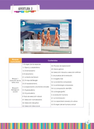 Prohibida
su
reproducción
79
Apertura 3
Bloques
curriculares
Contenidos
Bloque 1:
Evolución de los
seres vivos
Bloque 5:
Biología en
acción
1. El origen de las especies
1.1. Fijismo y catastrofismo
1.2. El lamarckismo
2. El darwinismo
2.1. La teoría de Darwin
2.2. El viaje del Beagle
2.3. El neodarwinismo
3. La especiación y las teorías actuales
3.1. El gradualismo
3.2. El puntualismo
4. Tipos de selección natural
4.1. Selección normalizadora
4.2. Selección disruptiva
4.3. Selección direccional
4.4. Proceso de especiación
4.5. Deriva génica
4.6. Selección natural vs. selección artificial
5. Las pruebas de la evolución
5.1. El registro fósil
5.2. La anatomía comparada
5.3. La embriología comparada
5.4. La comparación del ADN
5.5. La biogeografía
6. La evolución humana
6.1. La hominización
6.2. La capacidad craneal y la cultura
6.3. El origen del ser humano actual
83
Noticia:
El manglar: un bioma pequeño, pero megadiverso
Este tipo de bioma formado por árboles (mangle) son
tolerantes a la sal, ya que ocupan la zona intermareal,
que está cercana a las desembocaduras de cursos
de agua dulce de las costas de latitudes tropicales
de la Tierra. Así, entre las áreas mayor extensión de
manglar se incluyen estuarios y zonas costeras.
http://goo.gl/cy2LKd
Web:
Video:
Lee la noticia anterior y responde:
¿Cuál fue la travesía original de fray Tomás de Berlanga?
A pesar de que él fue el descubridor oficial de las islas
Galápagos, ¿cuáles colonos de América del Sur ya
se encontraban en Ecuador y pudieron haber sido los
posibles descubridores?
Del documental corto sobre la biodiversidad y a base de
los conocimientos previos adquiridos, explica:
•¿Qué beneficios sociales nos podría estar brindando la
biodiversidad?
•¿Cuál es la importancia ambiental, económica y social
de la biodiversidad?
Descubrimiento de las islas Galápagos
LasislasGalápagosfuerondescubiertasaccidentalmente
el 10 de marzo de 1535, por el obispo español fray
Tomás de Berlanga mientras realizaba una expedición
hacia el Perú. Sin embargo, existen investigaciones
que argumentan que las islas fueron descubiertas por
nativos de América del Sur mucho antes de la Conquista
española.
http://goo.gl/VlzoJ7
En el siguiente documental corto se habla sobre
la biodiversidad en términos generales y cómo
nos proporciona todos los recursos que necesi-
tamos en nuestra vida cotidiana.
https://goo.gl/Xgx9DC
En contexto:
Prohibida
su
reproducción
83
CONTENIDOS:
1. El origen de las especies
1.1. Fijismo y catastrofismo
1.2. El lamarckismo
2. El darwinismo
2.1. La teoría de Darwin
2.2. El viaje del Beagle
2.3. El neodarwinismo
3. La especiación y las teorías actuales
3.1. El gradualismo
3.2. El puntualismo
4. Tipos de selección natural
4.1. Selección normalizadora
4.2. Selección disruptiva
4.3. Selección direccional
Evolución de la vida
82
3
4.4. Proceso de especiación
4.5. Deriva génica
4.6. Selección natural vs. selección artificial
5. Las pruebas de la evolución
5.1. El registro fósil
5.2. La anatomía comparada
5.3. La embriología comparada
5.4. La comparación del ADN
5.5. La biogeografía
6. La evolución humana
6.1. La hominización
6.2. La capacidad craneal y la cultura
6.3. El origen del ser humano actual
82
Prohibida
su
reproducción
 