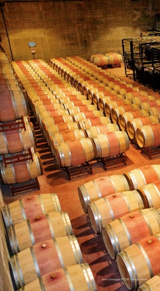 126
Arxiu d’imatges PTCBG · Roger Lleixà
 