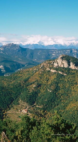 151
Arxiu d’imatges PTCBG · Francesc Tur
 