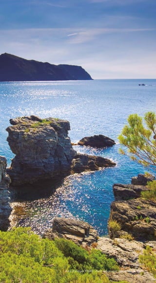 183
Arxiu d’imatges PTCBG · Autor desconegut, Ajuntament de Roses
 