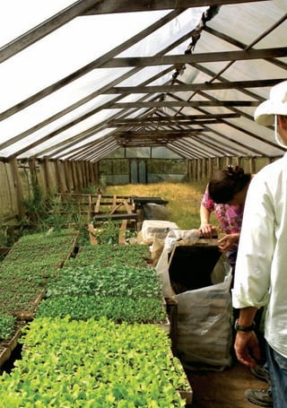 cartilha_v11-Folha de Rosto+ISBN_ARTEFINAL_180417_correcoes.indd 2 18/04/2017 17:45:41
 