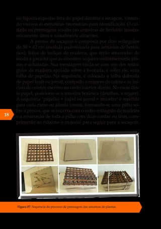 ou fiquem expostas fora do papel durante a secagem, tornan-
do visíveis as estruturas necessárias para identificação. O cui-
dado na prensagem resulta em amostras de herbário taxono-
micamente úteis e visualmente atraentes.
A prensa de secagem é composta por dois retângulos
de 30 × 42 cm (medida padronizada para armários de herbá-
rios), feitos de treliças de madeira, que serão amarradas de
modo a garantir que as amostras sequem uniformemente pla-
nas e achatadas. Sua montagem inicia-se com um dos retân-
gulos de madeira apoiado sobre a bancada, e sobre ele, uma
folha de papelão. Na sequência, é colocada a folha dobrada
de papel kraft ou jornal, contendo o número de coleta e as ini-
ciais do coletor, escritos no canto inferior direito. No meio des-
te papel, posiciona-se a amostra botânica (detalhes, a seguir).
A sequência "papelão + papel ou jornal + amostra" é repetida
para cada ramo ou planta inteira, formando-se uma pilha so-
bre a prensa, que se encerra com o outro retângulo de madeira
e a amarração de toda a pilha com duas cordas ou tiras, com-
primindo ao máximo o material para seguir para a secagem.
Figura 07: Sequência do processo de prensagem das amostras de plantas.
18
 