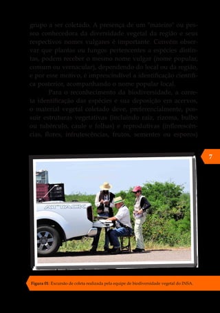 grupo a ser coletado. A presença de um "mateiro" ou pes-
soa conhecedora da diversidade vegetal da região e seus
respectivos nomes vulgares é importante. Convém obser-
var que plantas ou fungos pertencentes a espécies distin-
tas, podem receber o mesmo nome vulgar (nome popular,
comum ou vernacular), dependendo do local ou da região,
e por esse motivo, é imprescindível a identificação científi-
ca posterior, acompanhando o nome popular local.
Para o reconhecimento da biodiversidade, a corre-
ta identificação das espécies e sua deposição em acervos,
o material vegetal coletado deve, preferencialmente, pos-
suir estruturas vegetativas (incluindo raiz, rizoma, bulbo
ou tubérculo, caule e folhas) e reprodutivas (inflorescên-
cias, flores, infrutescências, frutos, sementes ou esporos)
7
Figura 01: Excursão de coleta realizada pela equipe de biodiversidade vegetal do INSA.
 