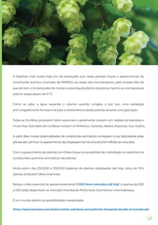A hipótese mais aceita hoje em dia pressupõe que nesse período houve o aparecimento do
constituinte químico chamado de PINENO, da classe dos monoterpenos, pelo simples fato de
que ele tem o incrível poder de manter a seiva líquida dentro da planta mesmo se a temperatura
exterior esteja abaixo de 0 ºC.
Como se sabe, a água expande o volume quando congela, e por isso, uma estratégia
anti-congelamento foi essencial para a sobrevivência destas plantas durante uma glaciação.
Todas as Coníferas produzem óleos essenciais e geralmente crescem em regiões temperadas e
muito frias. Exemplos de Coníferas incluem os Pinheiros, Ciprestes, Abetos, Espruces, Tuia, Cedros.
A partir disso muitas potencialidades de constituintes aromáticos começaram a ser descobertas pelas
plantas até culminar no aparecimento das Angiospermas há cerca de 200 milhões de anos atrás.
Com o aparecimento de plantas com ﬂores houve uma explosão de criatividade no repertório de
constituintes químicos aromáticos nas plantas.
Ainda assim, das 250.000 a 300.000 espécies de plantas catalogadas até hoje, cerca de 10%
apenas produzem óleos essenciais.
Destas, o óleo essencial de aproximadamente 3.000 foram extraídos até hoje* e apenas de 200
a 300 estão disponíveis no mercado mundial de Perfumaria, Cosméticos e Aromaterapia.
É um mundo aberto de possibilidades inexploradas.
*(https://www.intechopen.com/books/nutrition-well-being-and-health/the-therapeutic-benefits-of-essential-oils)
 