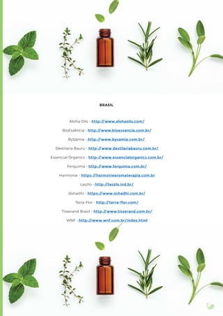 BRASIL
Aloha Oils - http://www.alohaoils.com/
BioEssência - http://www.bioessencia.com.br/
BySâmia - http://www.bysamia.com.br/
Destilaria Bauru - http://www.destilariabauru.com.br/
Essencial Organics - http://www.essencialorganics.com.br/
Ferquima - http://www.ferquima.com.br/
Harmonie - https://harmoniearomaterapia.com.br
Laszlo - http://laszlo.ind.br/
Oshadhi - https://www.oshadhi.com.br/
Terra-Flor - http://terra-flor.com/
Tisserand Brasil - http://www.tisserand.com.br/
WNF - http://www.wnf.com.br/index.html
 