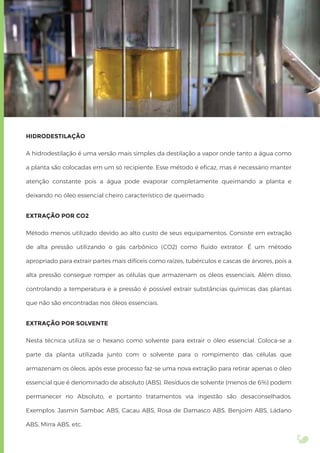 HIDRODESTILAÇÃO
A hidrodestilação é uma versão mais simples da destilação a vapor onde tanto a água como
a planta são colocadas em um só recipiente. Esse método é eﬁcaz, mas é necessário manter
atenção constante pois a água pode evaporar completamente queimando a planta e
deixando no óleo essencial cheiro característico de queimado.
EXTRAÇÃO POR CO2
Método menos utilizado devido ao alto custo de seus equipamentos. Consiste em extração
de alta pressão utilizando o gás carbônico (CO2) como ﬂuido extrator. É um método
apropriado para extrair partes mais difíceis como raízes, tubérculos e cascas de árvores, pois a
alta pressão consegue romper as células que armazenam os óleos essenciais. Além disso,
controlando a temperatura e a pressão é possível extrair substâncias químicas das plantas
que não são encontradas nos óleos essenciais.
EXTRAÇÃO POR SOLVENTE
Nesta técnica utiliza se o hexano como solvente para extrair o óleo essencial. Coloca-se a
parte da planta utilizada junto com o solvente para o rompimento das células que
armazenam os óleos, após esse processo faz-se uma nova extração para retirar apenas o óleo
essencial que é denominado de absoluto (ABS). Resíduos de solvente (menos de 6%) podem
permanecer no Absoluto, e portanto tratamentos via ingestão são desaconselhados.
Exemplos: Jasmin Sambac ABS, Cacau ABS, Rosa de Damasco ABS, Benjoim ABS, Ládano
ABS, Mirra ABS, etc.
 
