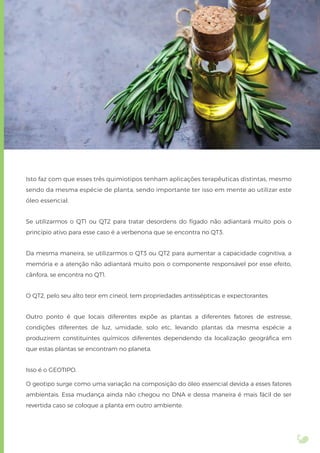 Isto faz com que esses três quimiotipos tenham aplicações terapêuticas distintas, mesmo
sendo da mesma espécie de planta, sendo importante ter isso em mente ao utilizar este
óleo essencial.
Se utilizarmos o QT1 ou QT2 para tratar desordens do fígado não adiantará muito pois o
princípio ativo para esse caso é a verbenona que se encontra no QT3.
Da mesma maneira, se utilizarmos o QT3 ou QT2 para aumentar a capacidade cognitiva, a
memória e a atenção não adiantará muito pois o componente responsável por esse efeito,
cânfora, se encontra no QT1.
O QT2, pelo seu alto teor em cineol, tem propriedades antissépticas e expectorantes.
Outro ponto é que locais diferentes expõe as plantas a diferentes fatores de estresse,
condições diferentes de luz, umidade, solo etc, levando plantas da mesma espécie a
produzirem constituintes químicos diferentes dependendo da localização geográﬁca em
que estas plantas se encontram no planeta.
Isso é o GEOTIPO.
O geotipo surge como uma variação na composição do óleo essencial devida a esses fatores
ambientais. Essa mudança ainda não chegou no DNA e dessa maneira é mais fácil de ser
revertida caso se coloque a planta em outro ambiente.
 
