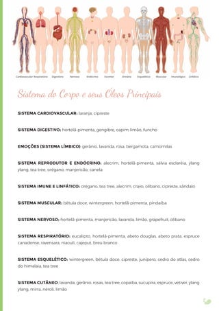 Sistema do Corpo e seus Óleos Principais
SISTEMA CARDIOVASCULAR: laranja, cipreste
SISTEMA DIGESTIVO: hortelã-pimenta, gengibre, capim-limão, funcho
EMOÇÕES (SISTEMA LÍMBICO): gerânio, lavanda, rosa, bergamota, camomilas
SISTEMA REPRODUTOR E ENDÓCRINO: alecrim, hortelã-pimenta, sálvia esclaréia, ylang
ylang, tea tree, orégano, manjericão, canela
SISTEMA IMUNE E LINFÁTICO: orégano, tea tree, alecrim, cravo, olíbano, cipreste, sândalo
SISTEMA MUSCULAR: bétula doce, wintergreen, hortelã-pimenta, pindaíba
SISTEMA NERVOSO: hortelã-pimenta, manjericão, lavanda, limão, grapefruit, olíbano
SISTEMA RESPIRATÓRIO: eucalipto, hortelã-pimenta, abeto douglas, abeto prata, espruce
canadense, ravensara, niaouli, cajeput, breu branco
SISTEMA ESQUELÉTICO: wintergreen, bétula doce, cipreste, junípero, cedro do atlas, cedro
do himalaia, tea tree
SISTEMA CUTÂNEO: lavanda, gerânio, rosas, tea tree, copaíba, sucupira, espruce, vetiver, ylang
ylang, mirra, néroli, limão
 