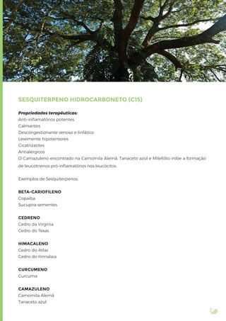 SESQUITERPENO HIDROCARBONETO (C15)
Propriedades terapêuticas:
Anti-inﬂamatórios potentes
Calmantes
Descongestionante venoso e linfático
Levemente hipotensores
Cicatrizantes
Antialérgicos
O Camazuleno encontrado na Camomila Alemã, Tanaceto azul e Milefólio inibe a formação
de leucotrienos pró-inﬂamatórios nos leucócitos.
Exemplos de Sesquiterpenos:
BETA-CARIOFILENO
Copaíba
Sucupira sementes
CEDRENO
Cedro da Virgínia
Cedro do Texas
HIMACALENO
Cedro do Atlas
Cedro do Himalaia
CURCUMENO
Curcuma
CAMAZULENO
Camomila Alemã
Tanaceto azul
 