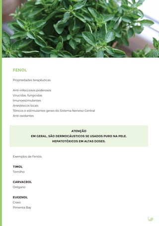 FENOL
Propriedades terapêuticas:
Anti-infecciosos poderosos
Virucidas, fungicidas
Imunoestimulantes
Anestésicos locais
Tônicos e estimulantes gerais do Sistema Nervoso Central
Anti-oxidantes
ATENÇÃO
EM GERAL, SÃO DERMOCÁUSTICOS SE USADOS PURO NA PELE.
HEPATOTÓXICOS EM ALTAS DOSES.
Exemplos de Fenóis:
TIMOL
Tomilho
CARVACROL
Orégano
EUGENOL
Cravo
Pimenta Bay
 
