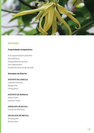 ÉSTERES
Propriedades terapêuticas:
Anti-espasmódicos potentes
Neurotônicos
Reequilibrante nervoso
Anti-depressivos
Excelentes para saúde da pele
Exemplos de Ésteres:
ACETATO DE LINALILA
Lavanda Francesa
Bergamota
Ylang ylang
ACETATO DE BORNILA
Abeto Prata
Espruce Tsuga
ANGELATO DE BUTILA
Camomila Romana
SALICILATO DE METILA
Wintergreen
Bétula doce
 