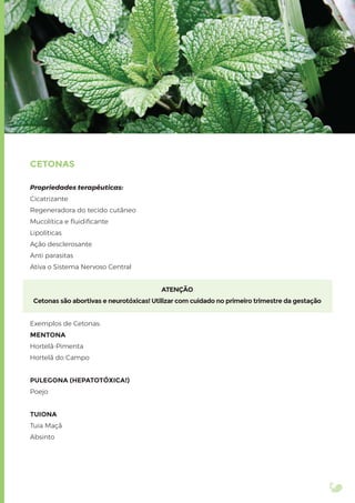 CETONAS
Propriedades terapêuticas:
Cicatrizante
Regeneradora do tecido cutâneo
Mucolítica e ﬂuidiﬁcante
Lipolíticas
Ação desclerosante
Anti parasitas
Ativa o Sistema Nervoso Central
ATENÇÃO
Cetonas são abortivas e neurotóxicas! Utilizar com cuidado no primeiro trimestre da gestação
Exemplos de Cetonas:
MENTONA
Hortelã-Pimenta
Hortelã do Campo
PULEGONA (HEPATOTÓXICA!)
Poejo
TUIONA
Tuia Maçã
Absinto
 