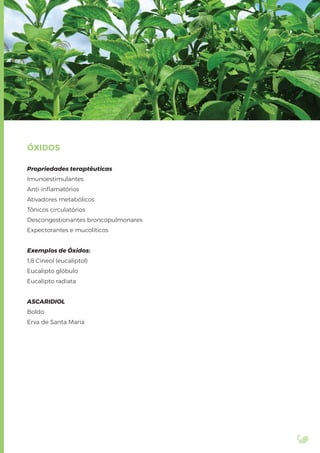 ÓXIDOS
Propriedades teraptêuticas
Imunoestimulantes
Anti-inﬂamatórios
Ativadores metabólicos
Tônicos circulatórios
Descongestionantes broncopulmonares
Expectorantes e mucolíticos
Exemplos de Óxidos:
1,8 Cineol (eucaliptol)
Eucalipto glóbulo
Eucalipto radiata
ASCARIDIOL
Boldo
Erva de Santa Maria
 