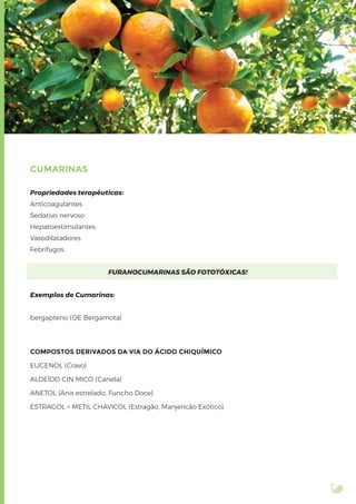 CUMARINAS
Propriedades terapêuticas:
Anticoagulantes
Sedativo nervoso
Hepatoestimulantes
Vasodilatadores
Febrífugos
FURANOCUMARINAS SÃO FOTOTÓXICAS!
Exemplos de Cumarinas:
bergapteno (OE Bergamota)
COMPOSTOS DERIVADOS DA VIA DO ÁCIDO CHIQUÍMICO
EUGENOL (Cravo)
ALDEÍDO CIN MICO (Canela)
ANETOL (Anis estrelado, Funcho Doce)
ESTRAGOL = METIL CHAVICOL (Estragão, Manjericão Exótico)
 