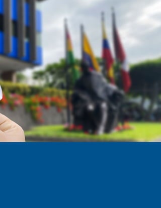 Guía compras públicas / Comunidad Andina