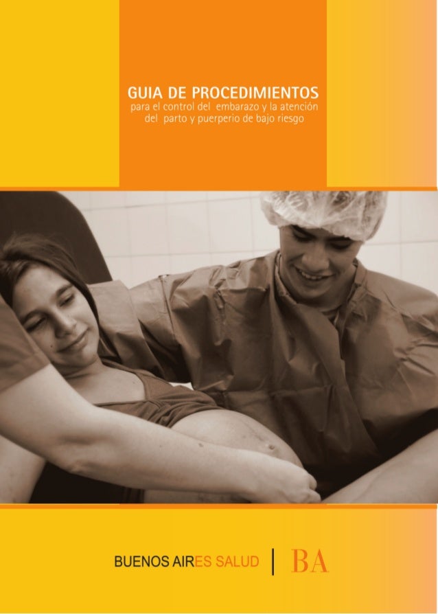 Guia Control De Embarazo Parto Y Puerperio De Bajo Riesgo