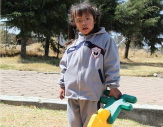 Discapacida intelectual.indd 105 26/11/13 09:13
 