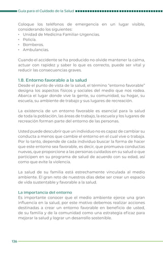Guia-Cuidado-Salud-Familiar-2021.pdf