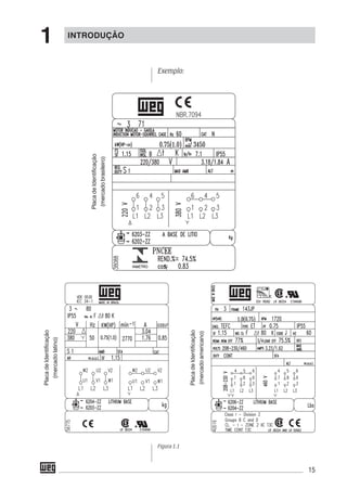 15
PlacadeIdentificação
(mercadobrasileiro)
PlacadeIdentificação
(mercadoamericano)
PlacadeIdentificação
(mercadolatino)
Exemplo:
Figura 1.1
INTRODUÇÃO
1
 