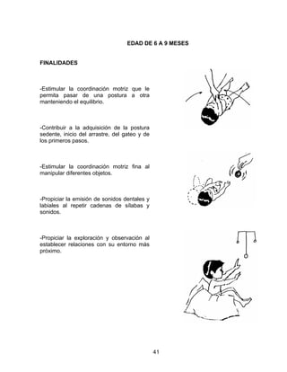 EDAD DE 6 A 9 MESES


FINALIDADES



-Estimular la coordinación motriz que le
permita pasar de una postura a otra
manteniendo el equilibrio.



-Contribuir a la adquisición de la postura
sedente, inicio del arrastre, del gateo y de
los primeros pasos.



-Estimular la coordinación motriz fina al
manipular diferentes objetos.



-Propiciar la emisión de sonidos dentales y
labiales al repetir cadenas de sílabas y
sonidos.



-Propiciar la exploración y observación al
establecer relaciones con su entorno más
próximo.




                                               41
 