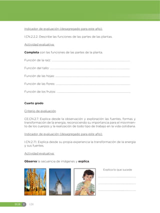 EGB E 120
Indicador de evaluación (desagregado para este año):
I.CN.2.2.2. Describe las funciones de las partes de las plantas.
Actividad evaluativa:
Completa con las funciones de las partes de la planta.
Función de la raíz: …………………………………………………………………………………………...…………
Función del tallo: …………………………………………………………………………………………………..……
Función de las hojas: …………………………………………………………………………………………………
Función de las flores: …………………………………………………………………………………………………
Función de los frutos: ………………………………………………………………………………………………..
Cuarto grado
Criterio de evaluación
CE.CN.2.7. Explica desde la observación y exploración las fuentes, formas y
transformación de la energía, reconociendo su importancia para el movimien-
to de los cuerpos y la realización de todo tipo de trabajo en la vida cotidiana.
Indicador de evaluación (desagregado para este año):
I.CN.2.7.1. Explica desde su propia experiencia la transformación de la energía
y sus fuentes.
Actividad evaluativa:
Observa la secuencia de imágenes y explica.
Explica lo que sucede
………………………......................…….
…………………………......................….
……………………......................……….
 