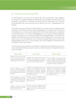 EGB M 36
2.2 Planificación Curricular Anual (PCA)
Se sugiere que para realizar la planificación curricular anual los docentes del
subnivel y por áreas se reúnan para desagregar los objetivos del subnivel y
las destrezas con criterios de desempeño. Para fines explicativos se expone
la siguiente matriz con dicha desagregación, en la cual se podrá evidenciar
que las destrezas con criterios de desempeño desagregadas contendrán el
código de referencia de las DCD original y este código irá al final, caso con-
trario ocurre con las destrezas con criterios de desempeño que no han sido
desagregadas para uno o varios grados, las cuales deberán mantenerse con
el código al inicio de la DCD.
A continuación se presenta un ejemplo de distribución de destrezas con cri-
terios de desempeño para quinto, sexto y séptimo grado correspondientes al
subnivel Media.
Quinto grado Sexto grado Séptimo grado
Indagar, con uso de las TIC
y otros recursos, las carac-
terísticas de los animales in-
vertebrados. (Ref. CN.3.1.1.)
Indagar, con uso de las TIC y otros
recursos, las características de los
animales invertebrados, describir-
las y clasificarlos. (Ref. CN.3.1.1.)
CN.3.1.1. Indagar, con uso de las TIC
y otros recursos, las características
de los animales invertebrados, des-
cribirlas y clasificarlos de acuerdo
a sus semejanzas y diferencias.
CN.3.1.4. Indagar, con uso de
las TIC y otros recursos, la
diversidad de invertebrados
de las regiones naturales de
Ecuador.
Analizar, con uso de las TIC y otros
recursos, la diversidad de inverte-
brados de las regiones naturales
de Ecuador y proponer medidas
de protección frente a sus amena-
zas. (Ref. CN.3.1.4.)
Explicar, con uso de las TIC y otros
recursos, la diversidad de inverte-
brados de las regiones naturales
de Ecuador y proponer medidas
de protección frente a sus amena-
zas. (Ref. CN.3.1.4.)
CN.3.1.6.Indagar y describir
el ciclo reproductivo de los
vertebrados y diferenciarlos
según su tipo de reproduc-
ción.
Explicar el ciclo reproductivo de
los vertebrados y diferenciarlos
según su tipo de reproducción.
(Ref. CN.3.1.6.)
Indagar y describir el ciclo
reproductivo de los inverte-
brados. (Ref. CN.3.1.7.)
Explicar el ciclo reproductivo de
los invertebrados y diferenciarlos
según su tipo de reproducción.
(Ref. CN.3.1.7.)
La Planificación curricular anual consta de varios elementos. Para elaborar
el numeral 5 correspondiente al desarrollo de unidades de planificación es
necesario considerar la distribución general de las Destrezas con Criterios
de Desempeño de este subnivel que se realizó en la PCI y desagregarlo por
grados.
 