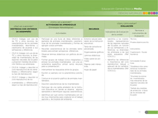 77
CIENCIAS NATURALES
Educación General Básica Media
¿Qué van a aprender?
DESTREZAS CON CRITERIOS
DE DESEMPEÑO
¿Cómo van a aprender?
ACTIVIDADES DE APRENDIZAJE
(Estrategias Metodológicas)
RECURSOS
¿Qué y cómo evaluar?
EVALUACIÓN
Actividades
Indicadores de Evaluación
de la unidad
Técnicas e
instrumentos de
Evaluación
đ CN.3.1.1. Indagar, con uso de
las TIC y otros recursos, las
características de los animales
invertebrados, describirlas y
clasificarlos de acuerdo a sus
semejanzas y diferencias.
đ CN.3.1.4. Indagar, con uso de las
TIC y otros recursos, la diver-
sidad de invertebrados de las
regiones naturales de Ecuador
y proponer medidas de protec-
ción frente a sus amenazas.
đ CN.3.1.6. Indagar y describir el
ciclo reproductivo de los verte-
brados y diferenciarlos según
su tipo de reproducción.
đ CN.3.1.7. Indagar y describir el
ciclo reproductivo de los
đ invertebrados y diferenciarlos
según su tipo de reproducción
đ Participar en una lluvia de ideas referentes a:
ejemplos de animales invertebrados, caracterís-
ticas de los animales invertebrados y formas de
agrupar a estos animales.
đ Recordar características de los animales verte-
brados para extraer semejanzas diferencias.
đ Observar láminas didácticas con gráficos de ani-
males.
đ Formar grupos de trabajo (cinco integrantes) y
enlistar los animales invertebrados con una ca-
racterística específica, utilizar varios recursos
para su presentación.
đ Intercambiar las respuestas entre los grupos.
đ Escribir un ejemplo con la característica solicita-
da.
đ Colocar en el pizarrón gráficos de animales inver-
tebrados.
đ Describir características de los invertebrados
đ Participar de una salida alrededor de la Institu-
ción Educativa en donde se observe algunos
ejemplares e identifiquen algunas características.
đ Identificar por qué ciertos invertebrados son se-
res muy importantes para colaborar en el trabajo
agrícola y de limpieza del ambiente.
Entorno natural (alre-
dedor de la Institución
educativa)
Texto de consulta es-
pecializada.
Organizadores gráficos
Láminas didácticas
Video sobre los ani-
males
Páginas web interac-
tivas
Hojas de papel
đ Identifica a los inverte-
brados representativos
de las regiones naturales
del Ecuador, en función
de sus semejanzas y di-
ferencias, su diversidad,
las amenazas a las que
están expuestos. (Ref.
I.CN.3.1.1.)
đ Identifica las diferencias
e importancia del ciclo
reproductivo (sexual y
asexual) de los vertebra-
dos e invertebrados. (Ref.
I.CN.3.1.2.)
Técnica:
Prueba objetiva escrita
Instrumento:
Cuestionario.- Escala
Numérica
Actividades Evalua-
tivas:
*Establezca dos carac-
terísticas fundamen-
tales de los animales
invertebrados.
*Enumere los anima-
les invertebrados
más relevantes de las
regiones naturales del
Ecuador.
*Señale dos medidas
de protección a favor
de los animales del
Ecuador.
 