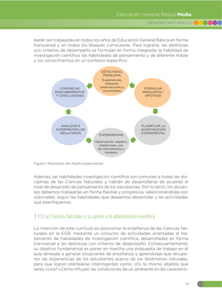 89
CIENCIAS NATURALES
Educación General Básica Media
berán ser trabajadas en todos los años de Educación General Básica en forma
transversal y en todos los bloques curriculares. Para lograrlo, las destrezas
con criterios de desempeño se formulan en forma integrada: la habilidad de
investigación científica, las habilidades de pensamiento y de diferente índole
y los conocimientos en un contexto específico.
DETECTAR EL
PROBLEMA
Experiencias,
intereses,
observaciones y
curiosidades
FORMULAR
PREGUNTAS /
HIPÓTESIS
PLANIFICAR LA
INVESTIGACIÓN
EXPERIMENTAL
COMUNICAR
DESCUBRIMIENTOS
Y CONCLUSIONES
ANALIZAR E
INTERPRETAR LOS
RESULTADOS
EXPERIMENTAR
Observación, registro,
mediciones, uso
de instrumentos y
modelos
Figura 1: Momentos del diseño experimental
Además, las habilidades investigación científica son comunes a todas las dis-
ciplinas de las Ciencias Naturales y habrán de desarrollarse de acuerdo al
nivel de desarrollo de pensamiento de los estudiantes. Por lo tanto, los docen-
tes debemos trabajarlas en forma flexible y progresiva, seleccionándolas por
subniveles, según las habilidades que deseemos desarrollar y las actividades
que planifiquemos.
3.1.5 Las Ciencias Naturales y su aporte a la alfabetización científica
La intención de este currículo es posicionar la enseñanza de las Ciencias Na-
turales en la EGB, mediante un conjunto de actividades orientadas al tra-
tamiento de habilidades de investigación científica, desarrolladas en forma
transversal a las destrezas con criterios de desempeño. Consecuentemente,
su objetivo fundamental es poner en marcha una propuesta de trabajo en el
aula alineada a generar situaciones de enseñanza y aprendizaje que recupe-
ren las experiencias de los estudiantes acerca de los fenómenos naturales,
para que logren plantearse interrogantes como: ¿Es lo mismo objetos que
seres vivos? ¿Cómo influyen las condiciones de un ambiente en las caracterís-
 