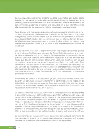 EGB M 94
Con anticipación, podríamos preparar un blog informativo con datos sobre
la relación que existe entre las plantas sin semilla (musgos, hepáticas y lico-
podios) y el mantenimiento de la humedad del suelo. Para la transferencia de
conocimientos, podemos proponer una actividad en la que identifiquen las
plantas sin semilla de su entorno natural y expliquen su importancia.
Para diseñar una indagación experimental que explique la fotosíntesis, la nu-
trición y la respiración de las plantas, podemos iniciar formulando preguntas
indagatorias como: ¿Cómo creen que se alimentan las plantas? ¿Cómo res-
piran las plantas? ¿Cuáles son los nutrientes que las plantas toman del sue-
lo? ¿Qué eliminan las plantas cuando respiran? ¿Qué utilizan las plantas para
realizar la fotosíntesis? ¿Por qué las plantas son importantes para la vida de
los seres?
Los estudiantes realizarán la experimentación en parejas o pequeños grupos
a partir de una hipótesis, por ejemplo: La fotosíntesis, la nutrición y la respi-
ración mantienen la vida en el planeta. Para comprobar la respiración de las
plantas, colocarán vaselina en el haz de dos hojas y en el envés de otras dos
hojas, que dejarán por dos días y observarán. Las hojas marchitas son las que
no pudieron respirar, ya que los estomas no cumplieron con su función. Para
observar el proceso de nutrición, colocarán una flor blanca de tallo largo en
una solución de colorante azul o rojo. En cuanto a la fotosíntesis, ubicarán una
planta detrás del vidrio de una ventana y cubrirán la mitad de una hoja con
cartulina adherida a la hoja. Después de 3 a 5 días observarán la parte que
permaneció cubierta.
Finalmente, en parejas o en pequeños grupos, analizarán los resultados, ela-
borarán las conclusiones que sustentarán la confirmación o la negación de
la hipótesis y prepararán un informe. Para que esta actividad sea más signi-
ficativa, los estudiantes deberán explicar que la fotosíntesis, la nutrición y la
respiración mantienen la vida en el planeta
La destreza referida a analizar y describir el ciclo reproductivo de las plantas
e identificar los agentes polinizadores que permiten su fecundación se puede
desarrollar mediante la observación directa en parques o reservas naturales,
en modelos, imágenes proyectadas en pizarras digitales o láminas. Guiare-
mos a los estudiantes para que identifiquen los órganos masculinos y femeni-
nos de la flor y analicen el proceso de fecundación, en el que intervienen los
agentes polinizadores como el viento, las aves o los insectos. Es importante
examinar el proceso de fecundación desde la caída del polen al estigma, al es-
tilo y al ovario, donde el óvulo es fecundado y el ovario se transforma en fruto.
La transferencia de los conocimientos adquiridos ser realizará por medio de
una descripción a partir de un esquema en el que se organicen, en forma or-
denada, las etapas del proceso de reproducción de las plantas.
 
