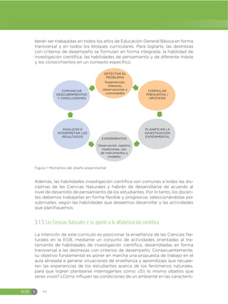EGB S 94
berán ser trabajadas en todos los años de Educación General Básica en forma
transversal y en todos los bloques curriculares. Para lograrlo, las destrezas
con criterios de desempeño se formulan en forma integrada: la habilidad de
investigación científica, las habilidades de pensamiento y de diferente índole
y los conocimientos en un contexto específico.
DETECTAR EL
PROBLEMA
Experiencias,
intereses,
observaciones y
curiosidades
FORMULAR
PREGUNTAS /
HIPÓTESIS
PLANIFICAR LA
INVESTIGACIÓN
EXPERIMENTAL
COMUNICAR
DESCUBRIMIENTOS
Y CONCLUSIONES
ANALIZAR E
INTERPRETAR LOS
RESULTADOS
EXPERIMENTAR
Observación, registro,
mediciones, uso
de instrumentos y
modelos
Figura 1: Momentos del diseño experimental
Además, las habilidades investigación científica son comunes a todas las dis-
ciplinas de las Ciencias Naturales y habrán de desarrollarse de acuerdo al
nivel de desarrollo de pensamiento de los estudiantes. Por lo tanto, los docen-
tes debemos trabajarlas en forma flexible y progresiva, seleccionándolas por
subniveles, según las habilidades que deseemos desarrollar y las actividades
que planifiquemos.
3.1.5 Las Ciencias Naturales y su aporte a la alfabetización científica
La intención de este currículo es posicionar la enseñanza de las Ciencias Na-
turales en la EGB, mediante un conjunto de actividades orientadas al tra-
tamiento de habilidades de investigación científica, desarrolladas en forma
transversal a las destrezas con criterios de desempeño. Consecuentemente,
su objetivo fundamental es poner en marcha una propuesta de trabajo en el
aula alineada a generar situaciones de enseñanza y aprendizaje que recupe-
ren las experiencias de los estudiantes acerca de los fenómenos naturales,
para que logren plantearse interrogantes como: ¿Es lo mismo objetos que
seres vivos? ¿Cómo influyen las condiciones de un ambiente en las caracterís-
 