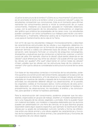 EGB S 98
¿Cuál es la estructura de la lombriz? ¿Cómo es su movimiento? ¿Cuánto tiem-
po en promedio le tomó a la lombriz volver a su posición natural? Luego, los
estudiantes compartirán sus conclusiones. Este es el momento para afirmar,
reorientar los conocimientos previos e iniciar la construcción de un nuevo
conocimiento, mediante una exposición apoyada en materiales didácticos.
Luego, con la participación de los estudiantes, construiremos un organiza-
dor gráfico que sintetice las propiedades de los seres vivos. Los estudiantes
pueden compartir con otros compañeros sus trabajos para recibir una retro-
alimentación y, finalmente, reflexionar acerca de la importancia de los seres
vivos para el mantenimiento de la vida en la Tierra.
Con el fin de que los estudiantes indaguen microscópicamente y describan
las características estructurales de las células y sus organelos, debemos ini-
ciar el ciclo de aprendizaje con la formación de pequeños grupos, para que
observen láminas o videos con diferentes tipos de células. Al finalizar la ob-
servación, será necesario formular un conjunto de preguntas convergentes,
divergentes y evaluativas que les conduzcan a memorizar, a pensar y a emitir
juicios de valor. Por ejemplo: ¿Qué es la célula? ¿Qué partes observan en las
células? ¿Qué diferencias hay entre las células? ¿Se puede afirmar que todas
las células son iguales? ¿Por qué? ¿Qué tienen en común todas las células?
¿Creen ustedes que las células son las estructuras base de los sistemas vi-
vientes? ¿Por qué la célula es considerada la estructura funcional de los seres
vivos?
Con base en las respuestas correctas e incorrectas de los estudiantes, pode-
mos guiarlos a la construcción del conocimiento, apoyada con la ejecución de
una experiencia de laboratorio, a fin de observar e indagar células animales y
vegetales en muestras de cebolla y raspado de la mucosa bucal. Durante esta
actividad, los estudiantes deberán dibujar sus observaciones, en lo posible,
los organelos visibles al microscopio óptico. Como producto de esta activi-
dad, elaborarán un informe de laboratorio en el que planteen la hipótesis, el
procedimiento, las observaciones, los resultados, el análisis y las conclusio-
nes, para aprobar o refutar la hipótesis planteada.
Para la reconstrucción del conocimiento, podemos proponer que los estu-
diantes, organizados en grupos de trabajo, diseñen un modelo representacio-
nal o una maqueta de las células vegetales y animales. Esto lo pueden hacer
con material reciclable. Los modelos o maquetas elaborados por los alumnos
pueden ser presentados en una feria de ciencias, en la que distintos grupos
expondrán sobre algún aspecto específico, por ejemplo: la clasificación de las
células por su grado de complejidad, nutrición, tamaño y forma; las diferen-
cias entre una célula animal y una célula vegetal; las características y funcio-
nes de los organelos de una célula animal; y las características y funciones de
los organelos de una célula vegetal.
 