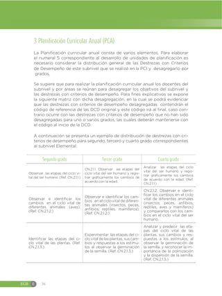 EGB E 36
3 Planificación Curricular Anual (PCA)
Se sugiere que para realizar la planificación curricular anual los docentes del
subnivel y por áreas se reúnan para desagregar los objetivos del subnivel y
las destrezas con criterios de desempeño. Para fines explicativos se expone
la siguiente matriz con dicha desagregación, en la cual se podrá evidenciar
que las destrezas con criterios de desempeño desagregadas contendrán el
código de referencia de las DCD original y este código irá al final, caso con-
trario ocurre con las destrezas con criterios de desempeño que no han sido
desagregadas para uno o varios grados, las cuales deberán mantenerse con
el código al inicio de la DCD.
A continuación se presenta un ejemplo de distribución de destrezas con cri-
terios de desempeño para segundo, tercero y cuarto grado correspondientes
al subnivel Elemental.
Segundo grado Tercer grado Cuarto grado
Observar las etapas del ciclo vi-
tal del ser humano. (Ref. CN.2.1.1.)
CN.2.1.1. Observar las etapas del
ciclo vital del ser humano y regis-
trar gráficamente los cambios de
acuerdo con la edad.
Analizar las etapas del ciclo
vital del ser humano y regis-
trar gráficamente los cambios
de acuerdo con la edad. (Ref.
CN.2.1.1.)
Observar e identificar los
cambios en el ciclo vital de
diferentes animales (aves).
(Ref. CN.2.1.2.)
Observar e identificar los cam-
bios en el ciclo vital de diferen-
tes animales (insectos, peces,
anfibios, reptiles, mamíferos).
(Ref. CN.2.1.2.)
CN.2.1.2. Observar e identi-
ficar los cambios en el ciclo
vital de diferentes animales
(insectos, peces, anfibios,
reptiles, aves y mamíferos)
y compararlos con los cam-
bios en el ciclo vital del ser
humano.
Identificar las etapas del ci-
clo vital de las plantas. (Ref.
CN.2.1.3.)
Experimentar las etapas del ci-
clo vital de las plantas, sus cam-
bios y respuestas a los estímu-
los al observar la germinación
de la semilla. (Ref. CN.2.1.3.)
Analizar y predecir las eta-
pas del ciclo vital de las
plantas, sus cambios y res-
puestas a los estímulos, al
observar la germinación de
la semilla, y reconocer la im-
portancia de la polinización
y la dispersión de la semilla.
(Ref. CN.2.1.3.)
La Planificación curricular anual consta de varios elementos. Para elaborar
el numeral 5 correspondiente al desarrollo de unidades de planificación es
necesario considerar la distribución general de las Destrezas con Criterios
de Desempeño de este subnivel que se realizó en la PCI y desagregarlo por
grados.
 