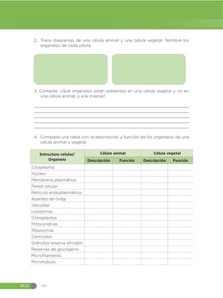 Guia-de-implementacion-del-Curriculo-de-CCNN-1.pdf