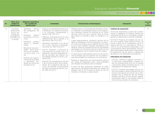 59
CIENCIAS NATURALES
Educación General Básica Elemental
N.º
Título de la
unidad de
planificación
Objetivos específicos
de la unidad de
planificación
Contenidos Orientaciones metodológicas Evaluación
Duración
en
semanas
5 Las carac-
terísticas de
la luz y sus
formas de
propagación
en el día y en
la noche
đŏIdentificar formas
de propagación de
la luz.
đŏDistinguir objetos
luminosos y no lumi-
nosos
đŏIdentificar cuerpos
opacos y transpa-
rentes.
đŏRelacionar las activi-
dades de los seres
vivos con la presen-
cia de la luna, y el
sol.
đŏAnalizar las caracte-
rísticas de la sombra
y penumbra me-
diante las formas de
bloquear la luz.
đŏExplicar las características de la luz
y diferenciar los objetos luminosos
y no luminosos, transparentes y
opacos. (Ref. CN.2.3.11.)
đŏObservar el bloqueo de la luz y las
características de la sombra y la
penumbra. (Ref. CN.2.3.12.)
đŏInterpretar, mediante el uso de las
TIC y otros recursos, la propaga-
ción de la luz. (Ref. CN.2.3.13.)
đŏCN.2.4.1. Observar y reconocer el
ciclo diario en los seres vivos y el
ambiente y formular preguntas so-
bre los animales que realizan sus
actividades durante la noche y du-
rante el día.
đŏDescribir las características del día
y de la noche a partir de la obser-
vación de la presencia del Sol, la
Luna y las estrellas, la luminosidad
del cielo y la sensación de frío y ca-
lor. (Ref. CN.2.4.2.)
đŏPodemos guiar una actividad de entrada al proce-
so mediante una estrategia lúdica con las siguien-
tes consignas: colocar las mochilas en un rincón
del aula, cerrar los ojos, caminar hacia el rincón
para ubicar su mochila y sacar un cuaderno y un
lápiz.
đŏLuego preguntaremos: ¿Pudieron caminar por el
salón sin golpearse? ¿Cómo localizaron su mochi-
la? ¿Cómo se sintieron al no disponer de luz? ¿Qué
es la luz para ustedes? Después, apoyaremos una
reflexión sobre las experiencias de los estudiantes
para llegar a la conclusión de que cuando no hay
luz, no podemos ver los objetos que nos rodean.
đŏA continuación, explicaremos que la luz es una for-
ma de energía que nos permite ver los objetos y
que estos pueden ser luminosos o no luminosos.
đŏPlantear el diagnóstico de conocimientos previos
por medio de preguntas como: ¿Qué entienden
por energía? ¿De dónde viene la energía?
đŏA partir de aquí, podríamos presentar un video
para que los estudiantes describan las fuentes de
energía como el Sol, el agua, el viento, el mar, los
volcanes, la biomasa y el gas natural.
Criterios de evaluación:
CE.CN.2.8. Argumenta, a partir de la obser-
vación e indagación en diversas fuentes, las
características de la luz, su bloqueo y propa-
gación en objetos de su entorno inmediato.
CE.CN.2.9. Propone actividades que los se-
res vivos podrían hacer durante el día y la
noche, a partir de la comprensión de la in-
fluencia del Sol y la Luna sobre la Tierra, el
clima y los conocimientos ancestrales, y sus
conocimientos sobre herramientas, tecnolo-
gías tradicionales usadas para la agricultura,
la observación de los astros, la predicción
del tiempo y los fenómenos atmosféricos.
Indicadores de evaluación:
đŏI.CN.2.8.1. Diferencia objetos luminosos y
no luminosos, transparentes y opacos, se-
gún las características de la luz; la sombra
y penumbra, según el bloqueo de luz; y su
propagación en diferentes medios.
đŏI.CN.2.9.1. Propone actividades que los se-
res vivos pueden cumplir durante el día y la
noche (ciclo diario), en función de la com-
prensión de la influencia del Sol (forma,
tamaño. posición), la Luna (forma, tamaño,
movimiento, fases) y las estrellas sobre la
Tierra (forma, tamaño, movimiento).
4
 