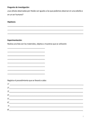 Pregunta de investigación:
¿Las células observadas por Hooke son iguales a las que podemos observar en una cebolla o
en un ser humano?
Hipótesis:
___________________________________________________________________________
___________________________________________________________________________
___________________________________________________________________________
Experimentación:
Realiza una lista con los materiales, objetos o muestras que se utilizarán:
_____________________________________
_____________________________________
_____________________________________
_____________________________________
_____________________________________
_____________________________________
_____________________________________
_____________________________________
Registra el procedimiento que se llevará a cabo:
1° _________________________________________________________________________
2°_________________________________________________________________________
3°_________________________________________________________________________
4°_________________________________________________________________________
5°_________________________________________________________________________
6°_________________________________________________________________________
7°_________________________________________________________________________
8°_________________________________________________________________________
3
 