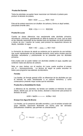 28
Prueba Del Xantato
Todos los alcoholes se pueden hacer reaccionar con hidroxido d potasio para
producir el alcóxido de potasio.
ROH + KOH ROK + H2O
Esta sal de potasio reacciona con disulfuro de carbono y forma un alquil xantato,
precipitado amarillo claro.
ROK + CS2 ROCSSK
Prueba De Lucas
Cuando se desea diferenciar mas exactamente entre alcoholes primarios,
secundarios y terciarios, generalmente se utiliza la prueba de Lucas, que se basa
en las diferente reactividad de los distintos tipos de alcoholes con ácido clorhídrico
y cloruro de zinc ( reactivo de Lucas), para producir los respectivos cloruros de
alquilo, insolubles en agua.
ROH + HCl ZnCl2 RCl + H2O
La formación de cloruros de alquilo se evidencia por la aparición de una turbidez,
que ocurre rápidamente con los alcoholes terciarios, toma varios minutos para los
alcoholes secundarios y prácticamente no se presentan para los alcoholes
primarios.
Esta prueba solo se puede realizar con alcoholes solubles en agua, aquellos que
contienen hasta seis átomos de carbono.
Nota: en caso dudoso con el reactivo de Lucas, puede acudirse al ensayo
con N – bromosuccinimida . La técnica de seguir se puede encontrar en
textos para programa mas extensos de laboratorio.
Fenoles
Los fenoles ,de formula general ArOH, se diferencian de los alcoholes por que
el hidroxilo va unido directamente a un carbono bencénico, y como
consecuencia presenta mayor acidez que los alcoholes.
Prueba De La Solubilidad En Soda
a diferencia de los alcoholes, los fenoles son solubles en hidróxido de sodio
diluido, debido que, por se mas ácidos, alcanzan a reaccionar para producir el
fenóxido de sodio.
ArOH + NaOH ArONa + H2O
Ensayo Con Agua De Bromo
Los fenoles, por la presencia del anillo aromático, y por el carácter acivador del
grupo hidroxilo, reaccionan fácilmente con bromo para dar derivados
polisustituidos cristalinos, que permiten su caracterización.
OH
+ 3 Br2/H2O
OH
Br
OH
BrBr
Br
 