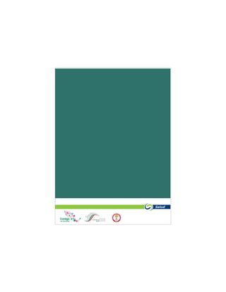 guíaparaelmanejodelosresiduospeligrososbiológicoinfecciososenunidadesdesalud
32
 