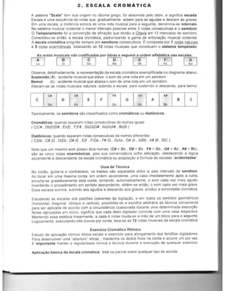 2. ESCALA CROMATICA
A palavra " Scala" tern sua origem no idiama grego, foi absorvida pelo latim, e significa escada.
Escala e uma seqOencia de natas que, gradualmente, sobem para as agudas e descem as graves.
Em uma escala, a disttlncia sonora de uma nota musical para a seguinte, denomina-se intervale.
No sistema musical ocidental 0 menor intervale passivel entre 2 natas consecutivas e0 semitom.
o Temperamento foi a conven~ao de afinayao que dividiu a Oitava em 12 intervalos de semltom.
Consolidou-se entao, a escala cromatica, padronizando a gama de entonaca.o musical ocidental.
A escala cromatica progride sempre em semitons consecutivQs. Ecomposta par 7 "atas naturais
e 5 00t85 enarmOnicas, totalizando as 12 natas musicais que constituem 0 sistema temperado.
As notas musicais sao codificadas por letras e seguem a ordem alfabetica nas escalas.
IT] rn []J w [IJ [TI w
Observe, detalhadamente, a representac~o da escala cromatica exemplificada no diagrama abaixo:
Sustenido (#) : acidente musical que eleva 0 som de uma nota em um semitom.
Bemol (b) : acidente musical que abaixa 0 som de uma nota,em um semitom.
Alteram-se as notas musicais naturais, subindo a escala, para sustenido e descendo, para bemoi.
I c I : I 0 I : I E l F I :: I G I :: I A I :: I B I c I
Teoricamente, os semitons s~o classificados como cromaticos ou diat6nicos.
Cromaticos : quando separam notas consecutivas de nomes iguais:
( qc# , DbIDID# , EblE , FIF# , GbIGIG# , AbIAIA# , BblB ).
Diat6nicos: quando separam notas consecutivas de nomes diferentes:
(qDb , C# ID , DIEb , D# IE, ElF , FIGb, F# IG , GIAb, G# lA, AIBb, A# IB , BIC).
Note que um mesmo som possui dois nomes: (C# =Db , 0# =Eb , F# =Gb , G# =Ab , A# =8 b);
s~o as cinco notas enarm6nicas, pois sua nomenclatura sofre alterac~o, obedecendo a logica
ascendente e descendente da escala cromatica ou adaptaca.o a formula de escalas "acidentadas".
Guia de Tecnica
No viol~o, guitarra e contrabaixo, os trastes s~o separados entre si pelo intervalo de semitom.
Ao tocar em uma mesma corda, em ordem ascendente, uma casa imediatamente ap6s a Qutra,
encurta-se gradativamente esta corda, tornando, automaticamente, 0 som cada vez mais agudo.
Invertendo 0 procedimento em sentido descendente, obtem-se ent~o, 0 sam cada vez mais grave.
Essa escada sonora, subindo aos agudos e descendo aos graves, produz a sonoridade cromatica.
Estudando as escalas sob padroes coerentes de digitaCa.o, e em todos os sentidos geometricos
(horizontal, diagonal, obllquo e vertical), possibilita-se a escolha arbitraria da tecnica convenienle
para ser aplicada de acordo com a circunstancia ocasionada durante uma determinada execuc~o.
Notas agrupadas em bloco, significa que cada dedo digitador coincide com uma casa respectiva.
Mantendo essa estetica linearmente, a cada 4 notas muda-se a mao de um bloco para 0 seguinte.
Logicamente, execulando tr~s b!ocos por corda, toca-se as 12 notas musicais da escala cromatica.
Exercicio Cromatico Ritmico
Estudo de aplicac~o ritmica dessa escala e exercicio para alongamenlo dos tendOes digitadores.
Para desenvolver uma "aberturs" eficaz , mantenha os dedos fixos na corda e acione um por vez.
!:: importante manter a regularidade rilmica e tecnica durante a execuya.o de qualquer exercicio.
Aplicac;io basica da escala cromatica: total au parcial sabre qualquer tipo de acorde.
 