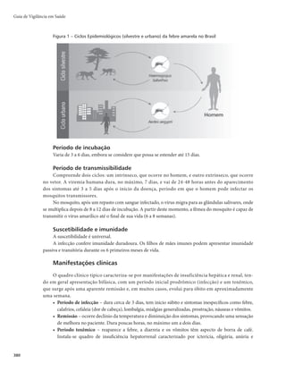 Guia de Vigilância em Saúde
366
informações: número de casos em tratamento; distribuição por sexo, idade, raça/cor; exames realizados
para exclusão da tuberculose ativa; indicação principal do tratamento da ILTB; distribuição por tipo de
tratamento; e desfechos.
Visita domiciliar e busca de faltosos
A visita domiciliar objetiva identificar sintomáticos respiratórios, agendar exame de contatos, reforçar
as orientações, verificar possíveis obstáculos à adesão, procurar soluções para superá-los e evitar o abando-
no. Dessa forma, o serviço de saúde pode promover a adesão ao tratamento e estreitar os vínculos com o pa-
ciente e a família. O usuário deve ser avisado sobre a visita e assegurado o sigilo quanto às suas informações.
Indica-se realizar visita domiciliar para todo caso de tuberculose diagnosticado, especialmente aos
que apresentam a forma pulmonar diagnosticada por critério laboratorial e a todo caso que não compare-
ça ao serviço de saúde quando agendado.
A visita domiciliar também deve ser realizada logo após a verificação do não comparecimento para
realização do tratamento diretamente observado na unidade de saúde. O contato telefônico imediato após
a falta pode facilitar o entendimento do problema e direcionar a visita domiciliar.
Vigilância em ambiente hospitalar
Em hospitais e nos demais serviços de saúde, é preciso atentar à descoberta de casos de tuberculose,
à pronta instituição do tratamento e à notificação. Os casos detectados em hospitais podem estar mais su-
jeitos aos desfechos desfavoráveis, seja pela sua gravidade ou pelo risco de descontinuidade do tratamento
após a alta hospitalar. Dessa forma, os funcionários dessas instituições devem ser capacitados para busca
ativa na unidade hospitalar e para o adequado manejo dos casos diagnosticados.
Deve haver um fluxo de referência e contrarreferência organizado pelo hospital com os demais ser-
viços da rede que permita troca de informações com os responsáveis pela vigilância epidemiológica local.
Por ocasião da alta hospitalar, visando à continuidade do tratamento, os profissionais de saúde do
hospital devem agendar consulta na unidade de saúde em que o paciente dará seguimento ao tratamento e
informar ao paciente o endereço do serviço e o horário em que será atendido. Além disso, um relatório em
que constem os resultados de exames laboratoriais e o tratamento realizado deve ser entregue ao paciente
e à unidade de saúde de destino.
A farmácia hospitalar é uma fonte importante de informação, pois a lista de pacientes que retiram
medicamentos específicos de tuberculose deve ser conferida com as notifica-ções efetuadas, evitando-se
a subnotificação de casos.
Vigilância em outras instituições
WJHJMÄODJBEFUVCFSDVMPTFFNJOTUJUVJÉ×FTEFMPOHBQFSNBOËODJBmDPNPBMCFSHVFT
BTJMPT
FOUSF
PVUSPTmQSFDJTBTFSPSHBOJ[BEBEFGPSNBRVFIBKBBCVTDBQFSJÓEJDBEFDBTPT
JOWFTUJHBÉÈPEJBHOÓTUJDB

exame de contatos quando da ocorrência de caso com diagnóstico laboratorial e realização do tratamento
diretamente observado. Cabe aos responsáveis pela vigilância epidemiológica estadual e municipal orga-
nizar as ações junto a essas instituições e estabelecer fluxo de informações integrado aos serviços de saúde.
Vigilância entre populações mais vulneráveis
para o adoecimento por tuberculose
Algumas populações são consideradas prioritárias para o controle da doença, devido ao maior risco
de adoecimento por tuberculose, como profissionais de saúde, pessoas vivendo com HIV/aids, privados
de liberdade, indivíduos em situação de rua, povos indígenas e contatos de tuberculose resistente.
 