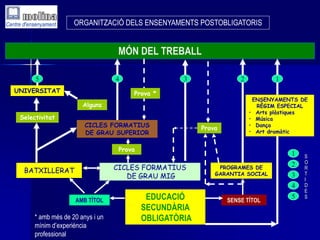 ORGANITZACIÓ DELS ENSENYAMENTS POSTOBLIGATORIS 
MÓN DEL TREBALL 
5 3 
EDUCACIÓ 
SECUNDÀRIA 
OBLIGATÒRIA 
4 
2 
Prova 
AMB TÍTOL SENSE TÍTOL 
UNIVERSITAT 
Selectivitat 
Prova 
Alguns 
Prova * 
1 
ENSENYAMENTS DE 
RÈGIM ESPECIAL 
• Arts plàstiques 
• Música 
• Dança 
• Art dramàtic 
PROGRAMES DE 
GARANTIA SOCIAL 
* amb més de 20 anys i un 
mínim d’experiència 
professional 
1 S 
2 
3 
4 
5 
O 
R 
T 
I 
D 
E 
S 
BATXILLERAT 
CICLES FORMATIUS 
DE GRAU SUPERIOR 
CICLES FORMATIUS 
DE GRAU MIG 
 
