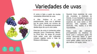 Variedades de uvas
O vinho é feito a partir de muitas
variedades diferentes de uvas.
A Vitis Vinifera é a uva
predominante. Esta uva é definida
por lei como tendo um mínimo de
75% a 85%. O resultado proveniente
destes tipos de uva é uma casta.
Este tipo de vinho é conhecido pelas
pessoas como Chardonnay, Merlot,
ou Pinot Noir. As áreas do mundo
onde estas uvas são cultivadas
incluem regiões como o Vale do
Ródano e Bordeaux.
6
Quando duas espécies de uvas
são cruzadas, é chamado de
híbrido. A uva Concord é uma uva
híbrida proveniente de diferentes
espécies de uvas como a Vitis
labrusca, Vitis rupestris, Vitis
aestivalis, Vitis, riparia, e a Vitis
rotundiafolia.
Estas uvas são cultivadas
principalmente na América do
Norte para o consumo geral. Há
muitos alimentos feitos a partir
destas uvas que incluem coisas
como geléia, geléia, suco de uva e
até mesmo, às vezes, vinho.
Licenciado para - Roberto Junior - 83423605987 - Protegido por Eduzz.com
 